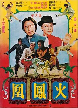 火凤凰海报
